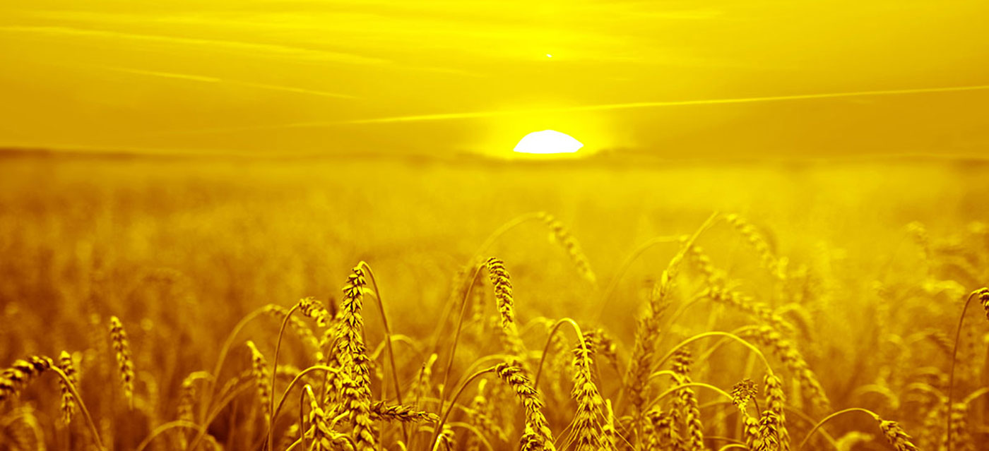 Ons bied graag kleuroplossings aan